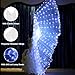 Reicyfang LED Belly Dance Wings with Stick, LED Isis Wings, Glow Light Up Belly Dance Costumes, LED Lights Belly Dance Isis Wings Carnival Rave Costumes Outfits(Adult White)