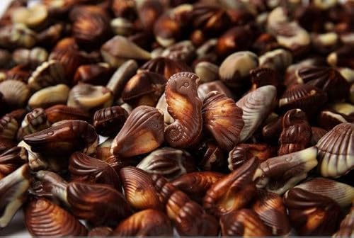 Guylian Adventskalender 254G Countdown bis Weihnachten mit 24 leckeren Pralinenschokoladen für jeden Tag Festlicher Countdown Strumpffüller Wichteln Pure Luxury