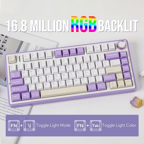 Image of EPOMAKER x Aula F75 Gasket Mechanical Keyboard, 75% Wireless Hot Swappable Gaming Keyboard with Five-Layer Padding&Knob, BT /2.4GHz /USB-C, RGB (Purple, LEOBOG Reaper Switch)