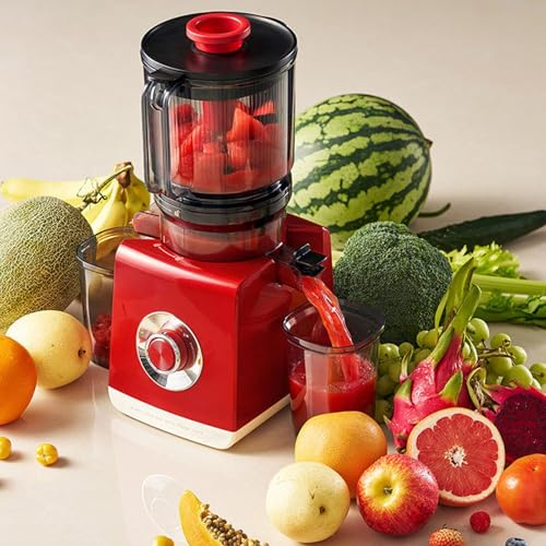Extracteur de jus commercial pour bars et buffets vitaminés 200W