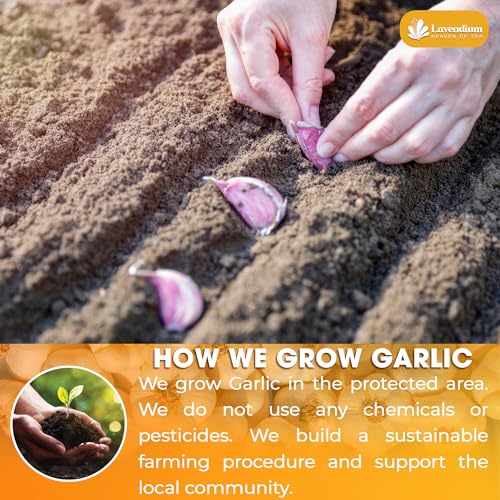 Image of Lavendium, Premium 25oz Garlic Powder, 100% Natural & Pure Ground Garlic, No Additives or Preservatives, Non-GMO, Gluten-Free, Plant-Based & Vegan, Perfect for Cooking, Seasoning & Marinades