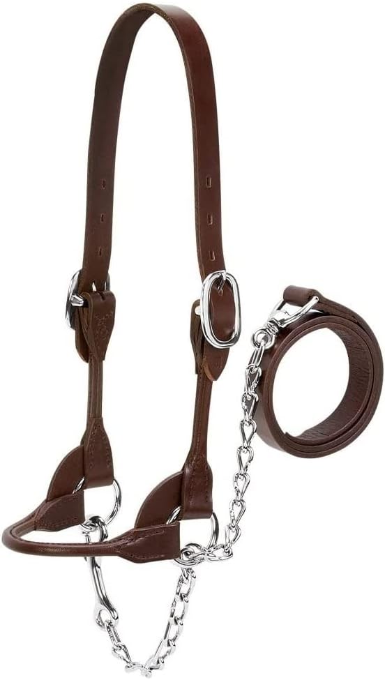 Weaver Leather Livestock Dairy/Beef Rounded Show Halter, Black, X-Small