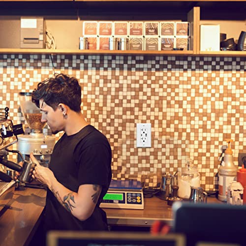 Topgreener Usb Outlet, 20 Amp Type C Usb Wall Charger Outlet, 20A Tamper-Resistant Receptacle With 2 Usb Charging Ports, Wall Plate Included, Tu22036Ac-W-6Pcs, White, 6 Pack #TOP5