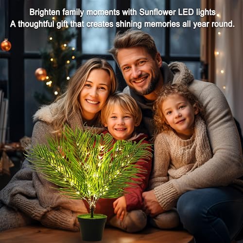Image of 19.6 inch Artificial Twinkling Tree Light, USB & Battery Operated LED Plant Lamp for Bedroom Office Bar Office Party Decor, Ideal Christmas Birthday Mothers Day Housewarming Gifts for Men Women