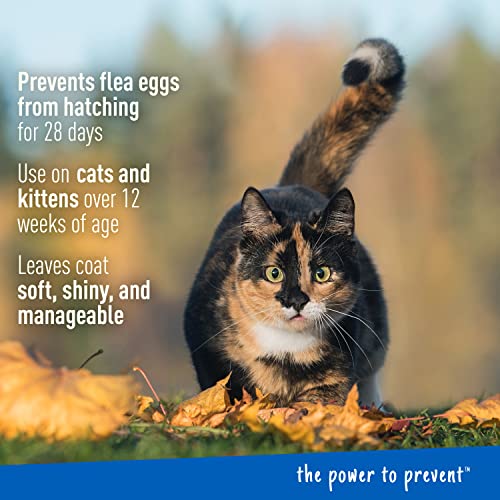 Adams Plus Flea & Tick Foaming Shampoo & Wash for Cats & Kittens Over