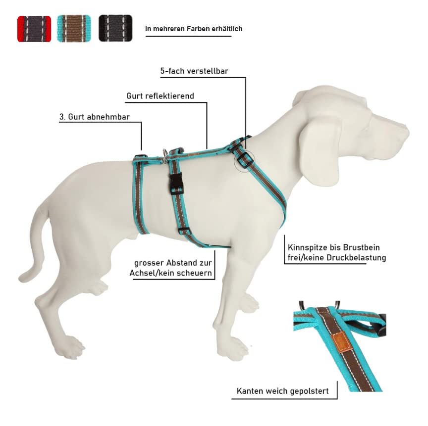 Feltmann No Exit ausbruchsicheres Hundegeschirr für Angsthund, Sicherheitsgeschirr für Pflegehunde, Panikgeschirr, Soft Grip, türkis/braun, Bauchumfang 55-75 cm, 20 mm Bandbreite