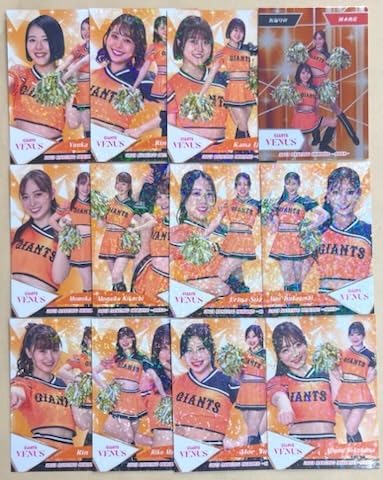 Amazon.co.jp: VENUS読売ジャイアンツ巨人2023 BBM チアリーダー