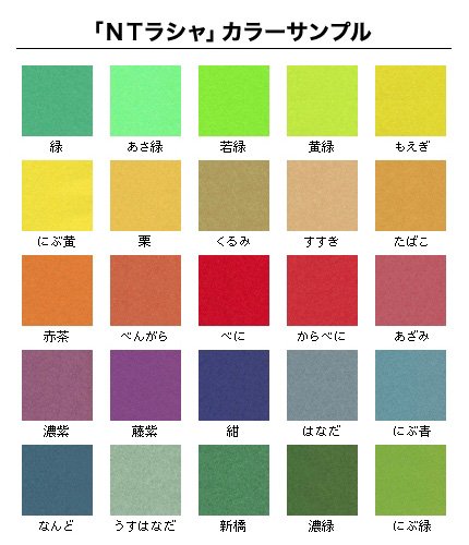 Amazon | 紙通販ダイゲン NTラシャ 4切判/20枚 若葉 031661_56 | 色