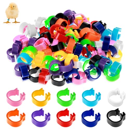 Matwsec 100PCS 10mm Coturnix Quail Leg Bands, Baby Chick Band, Dove Leg Bands, Quail Bird Identification Clip on Baby Poultry Foot Rings for Bantam Finch Dove Lovebird Coturnix Quails Small Birds