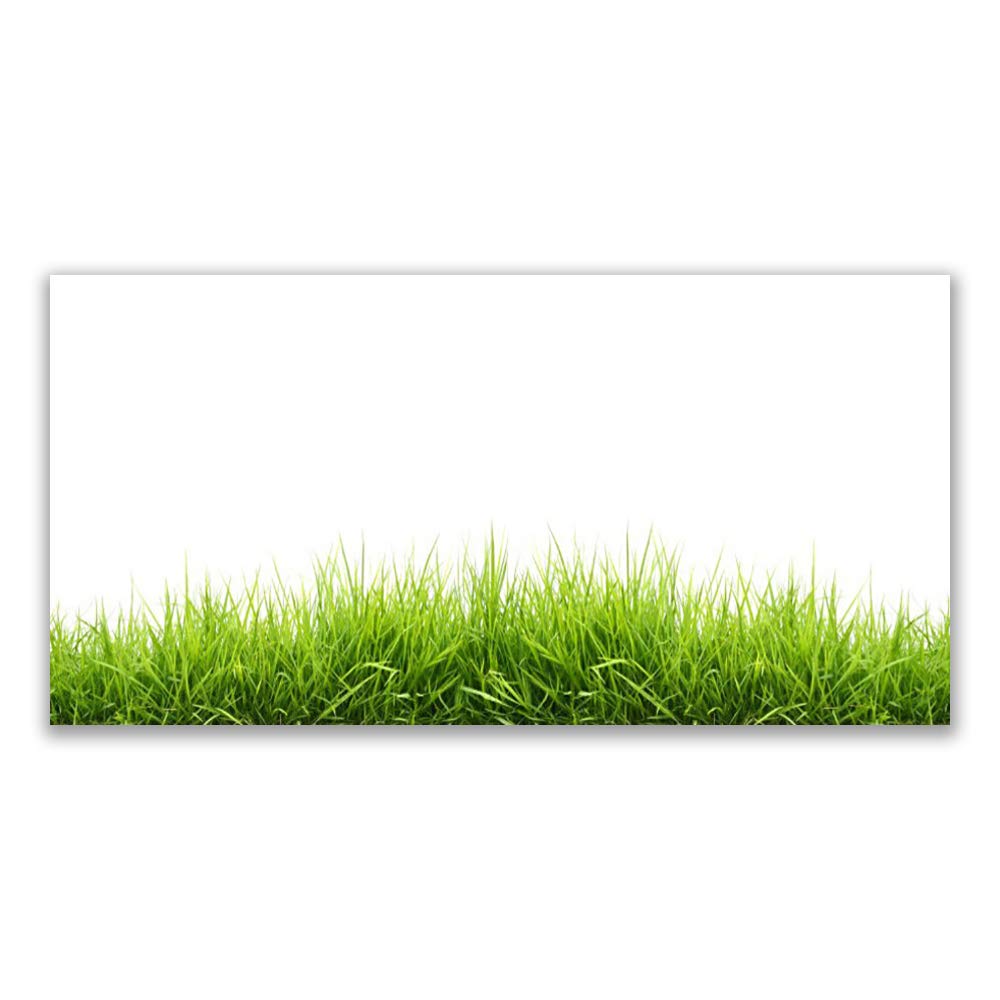 Tableau Mural en Verre Acrylique Premium 120x60cm Décoration Design Herbe Nature Tulup