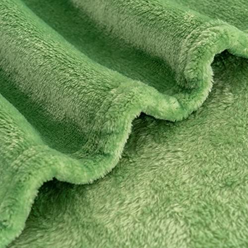 Recyco Fleece Throw Blanket For Couch, Super Soft Couch Throw Blanket For All Season, Lightweight Fuzzy Cozy Warm Green Throw Blanket For Couch Bed, Plush Blanket Throw For Sofa, Chair 50"X60" #TOP4