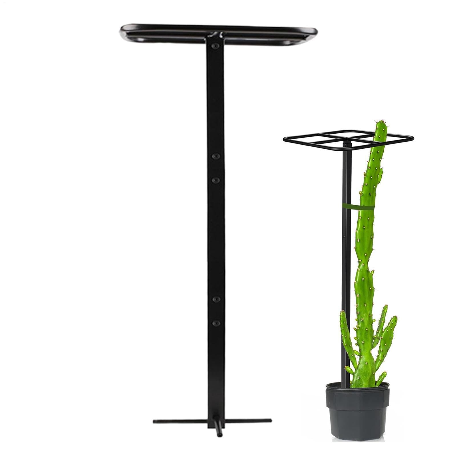 Treillis vertical pour grimpantes de jardin avec cadre de poteau durable