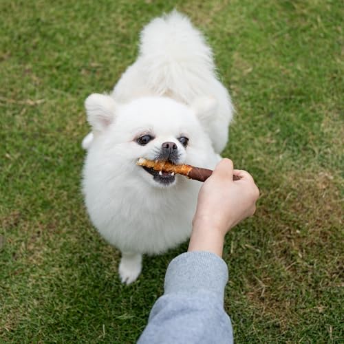 Image of MON2SUN Dog Treats, 5 Inch, Double Flavor Chicken & Liver Rawhide Sticks | 15 Count Pack, Double Flavor, Teeth Cleaning, Long-Lasting Chew, High-protein and Low-fat, Suitable for Small Dogs