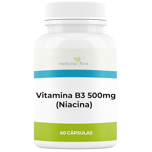 Vitamina B3 Niacina 500mg - 60 Cápsulas