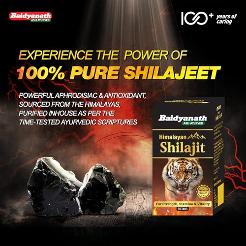 Image of Baidyanath Shilajeet (Shilajit), 50 Tablets (Pack of 2)