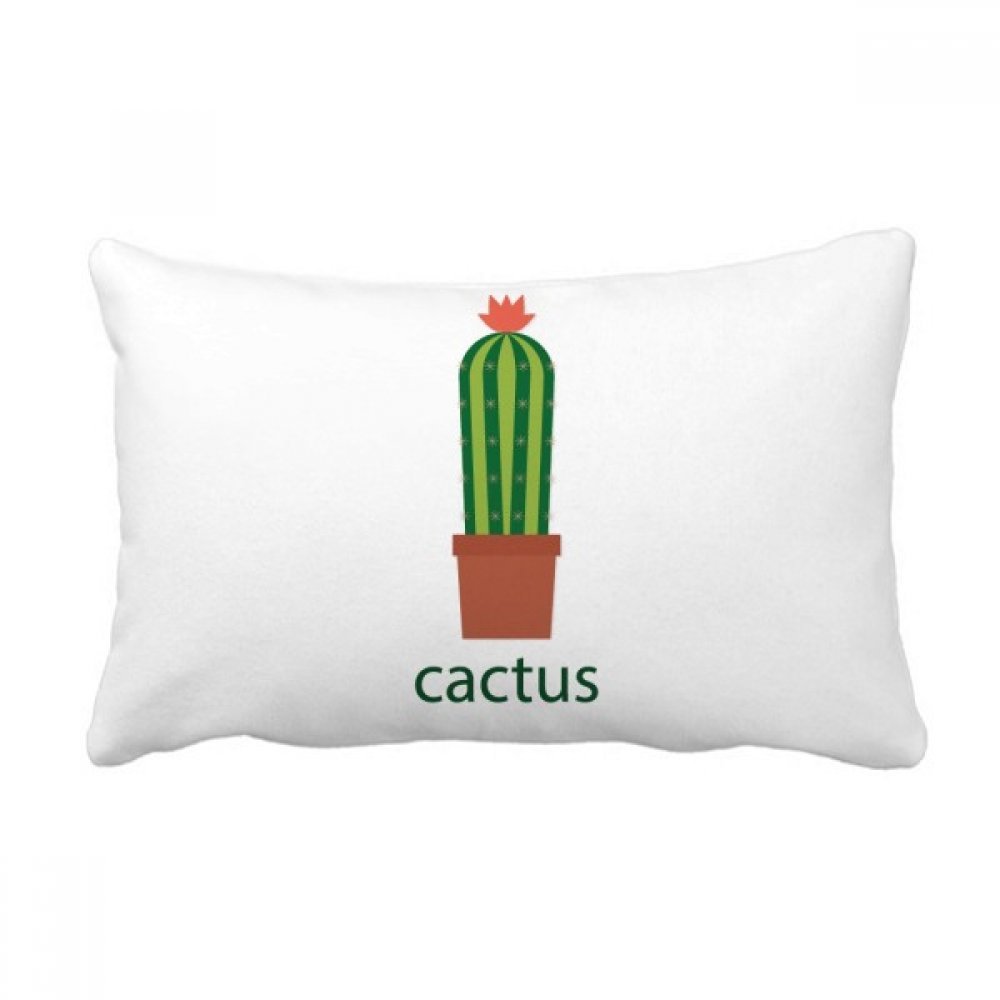 Coussin Cactus Plante en Pot Cadeau Crémaillère Original Oreiller Décoratif Salon Maison