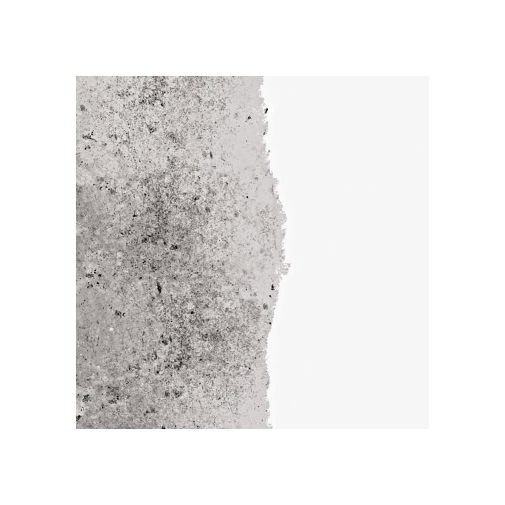 RIPOLIN – Capa interior antihumedad interior – Soportes húmedos o difíciles – Fija los fondos porosos – Alta protección – Máscara de aureolas y manchas de humedad – Mate – 0,75 L – Blanco
