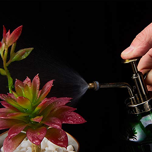 Ebristar Glass Plant Mister Spray Bottle, Vintage Plant Spritzer Sprayer Mister, Succulent Watering Bottle with Top Pump, Small Glass Watering Can for Indoor Outdoor Houseplant - Dark Green
