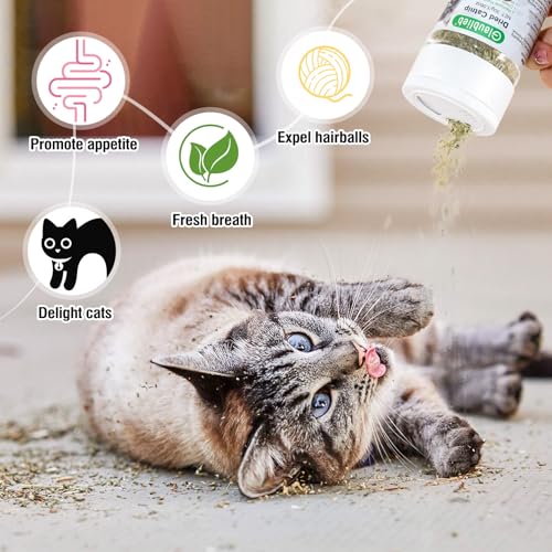 Glaublieb 30g Katzenminze Getrocknet, Natürliche Catnip Katzengras, Auffüllen Von Katzenspielzeug Katzen Kissen Catnip Ball, Einstellbare Dosierung und leicht zu verstauen