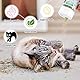 Glaublieb 30g Katzenminze Getrocknet, Natürliche Catnip Katzengras, Auffüllen Von Katzenspielzeug Katzen Kissen Catnip Ball, Einstellbare Dosierung und leicht zu verstauen