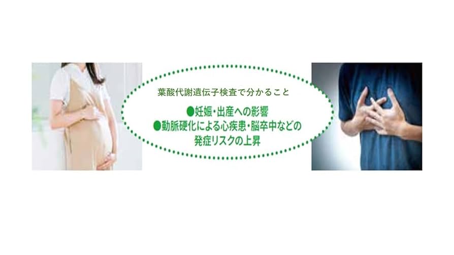 Amazon | 動脈硬化リスクが分かる！【葉酸代謝遺伝子検査キット