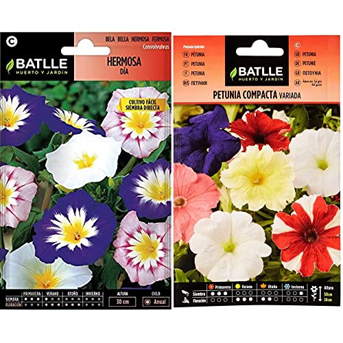 Semi di Fiori – Bel Giorno variegato – Batlle & Petunia Compacta VARIADA, Multicolore