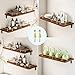 12 PCS Railing Bracket Spindles Furniture Connectors-Golden Iron Post End Caps for Glass Railing, Comes with Custom Screws and L-Shaped Wrenches to Easy Install