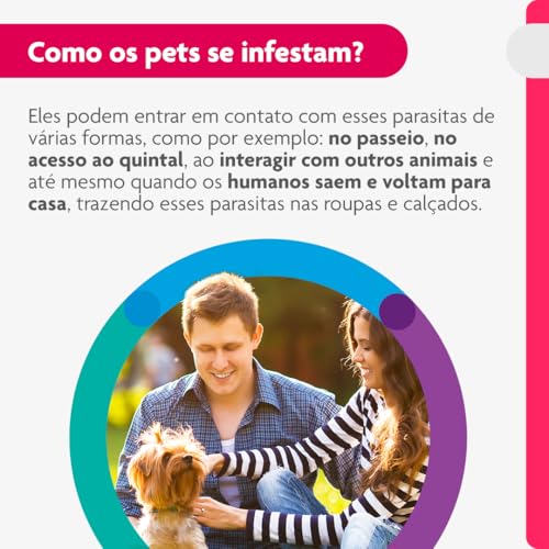 Bravecto Transdermal Cães de 2 até 4.5kg Bravecto para Cães, 2 a 4.5kg,