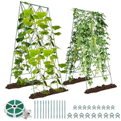 SUNYRISY 2 Stück Metall Gurke Rankhilfe, Rankgitter für Gurke, Gitternetz Kletterpflanzen Rankhilfe, Tomaten Rankhilfe, Pflanzenstütze für Blumen & Nutzpflanzen, Grün