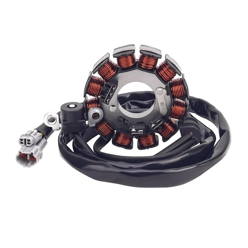Kit de Bobina de estator de generador para Motocicleta Road Passion para Yamaha WR250F WR 250 F 5UM814100900 5UM814103100