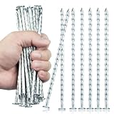 EISENSP 6.3-Inch Galvanized Heavy-Duty Landscape Stakes, (300-Pack) Spiral Metal Turf Spikes for Artificial Grass, Paver Edging, Weed Barrier, Securing Fences and More
