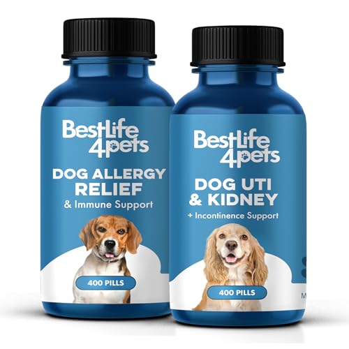 Dog UTI Treatment