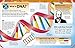 The DNA Book (The Science Book Series)