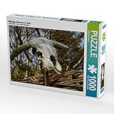 wiking museum schleswig WUNDERSCHÖNES BILD als Puzzle-Motiv mit einzigartiger Farbgebung bietet ein abwechslungsreiches Puzzle-Vergnügen