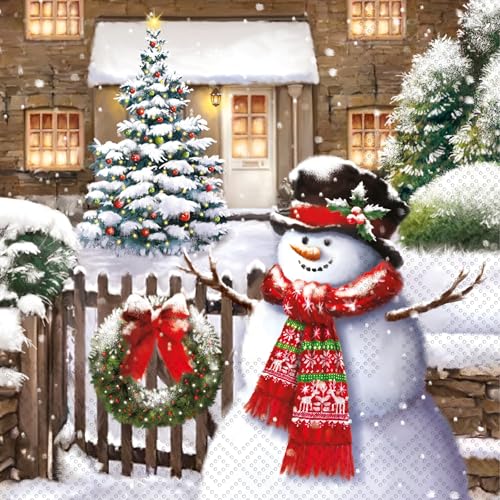 IHR Ideal Home Range Cocktail Napkins Disposable 3-Ply Paper Party Napkin Pack 5 x 5 Friendly Snowman 20-Count