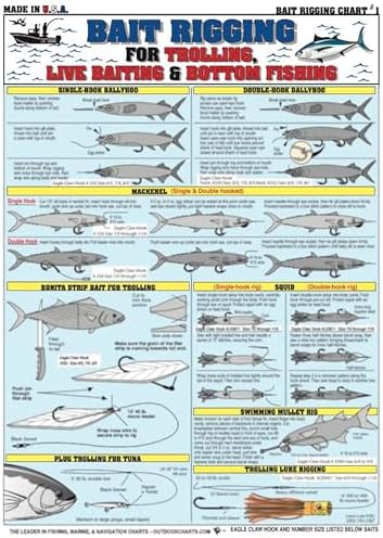 Saltwater Bait Rigging Chart #1 - Waterproof Quick Reference Fishing ...