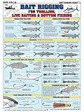 Fishermans Bait Rigging Chart #1