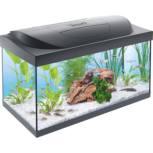 Tetra Starter Tropical Fish Aquarium - complete fish tank starter kit with light, heater, filter, fish food and water conditioner 54L