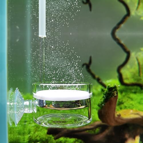 Pollen Glas CO2 Diffusor mit U Pipe für Aquarium Gepflanzt Tank (Φ50mm)