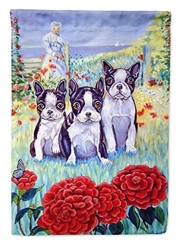 Drapeau maison Boston Terrier grand format extérieur pavillon toile imprimée - 2