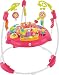 Fisher-Price Pink Petals Jumperoo
