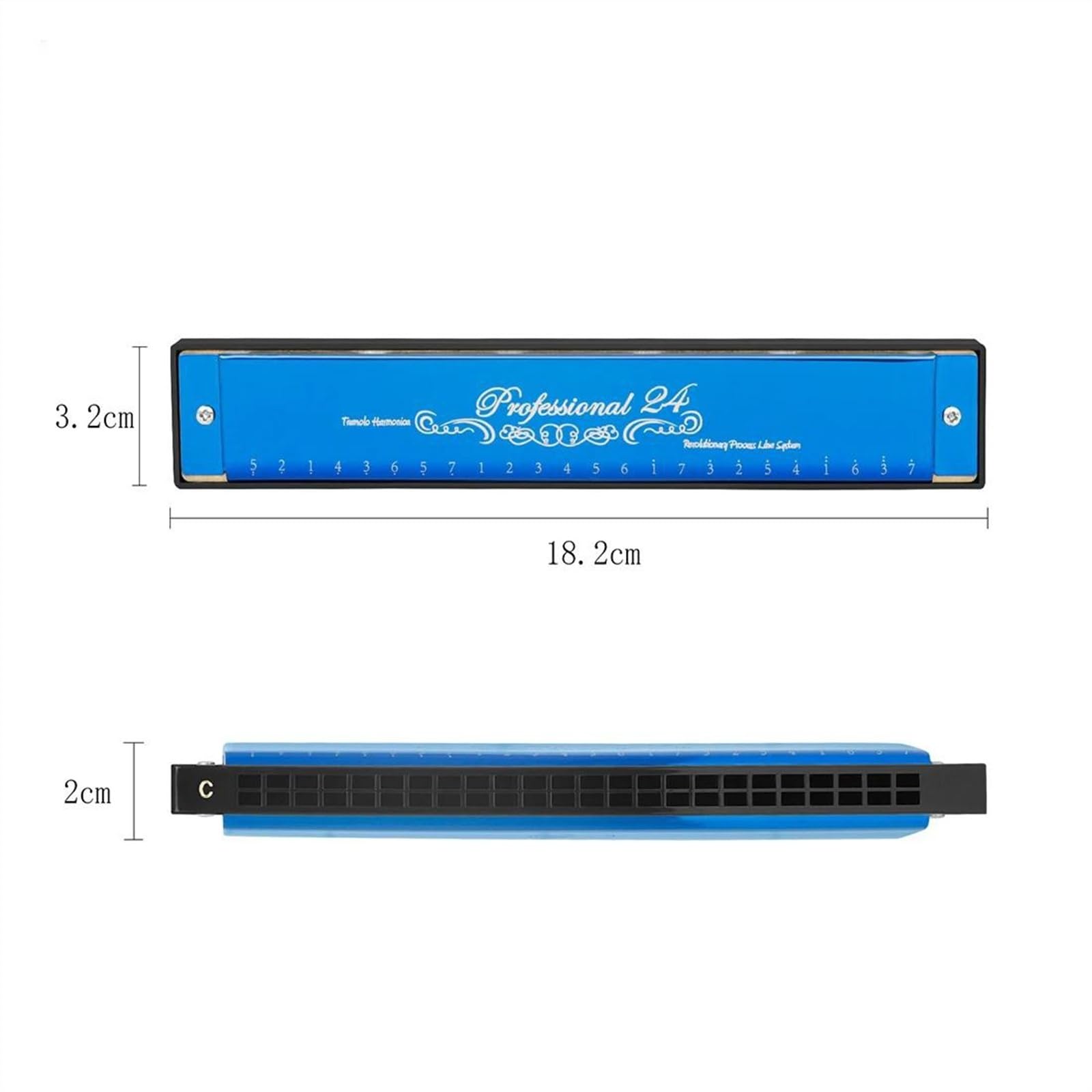 Armonica a bocca professionale a 24 fori con chiave in Do griglia in resina ABS strumento musicale per principianti con custodia e panno per la pulizia