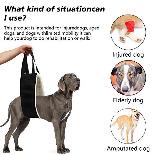 20-150Lb Dog Sling For Large Dogs Hind Leg Support,Hevy Duty Dog Lift Harness For Large Dogs,Dog Hip Harness Large Breed,Dog Support Sling,Dog Lifter To Help Lift Rear For Senior/Injured/Old Dog #TOP1