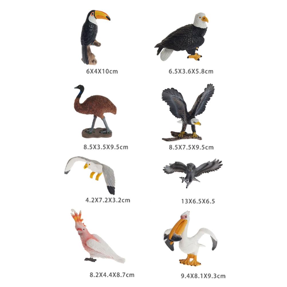 Montessori Vogel Tierfiguren, realistische Vogelmodell-Spielzeuge, pädagogisches Wildtier-Nachbildungsset für Kleinkinder (8 Stück)