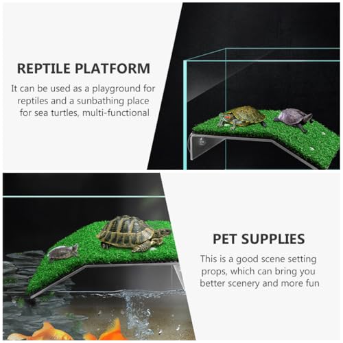 Plate-Forme de Tortue Terrestre Durable Multifonctionnelle pour Reptile