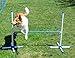 Dog Training Jump / Agility equipment / Dog Training /Dog Hurdle/Dog Agility Jump