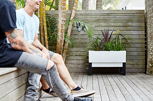 Glowpear Self-Watering Urban Garden Planter - 29.5" In Raised Pot, Uv Stable, Scalable, Indoor | Outdoor, Water Gauge For Home Deck Kitchen Gardening #TOP4