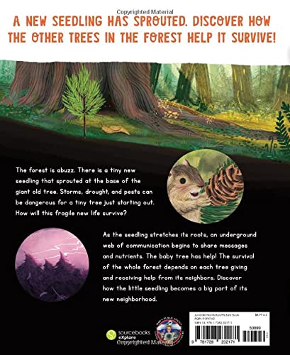 Listen to the Language of the Trees: A Story of How Forests Communicate Underground