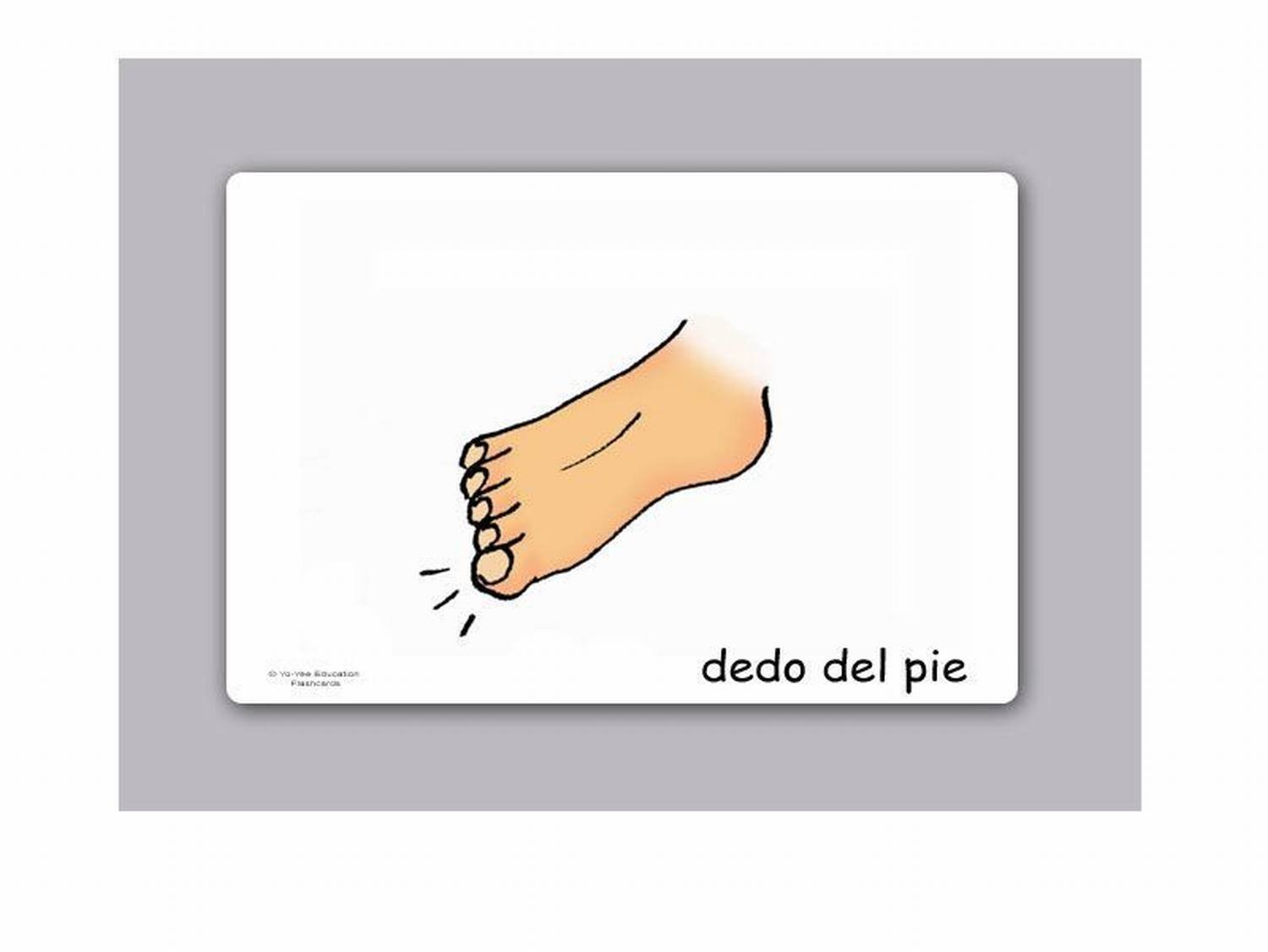 26 Tarjetas Ilustradas De Vocabulario En Español | Partes Del Cuerpo En DIN A6 | Aprendizaje De Idiomas Para Colegios Y Logopedia