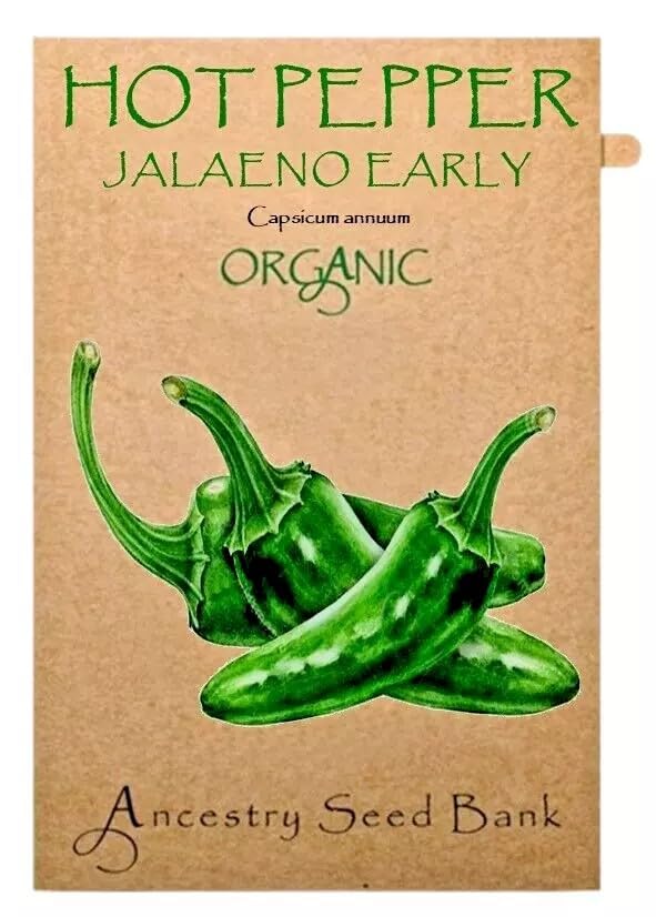 Organic Pepper Hot โ Jalapeno Early โ x10 Seeds Heirloom - Non GMO